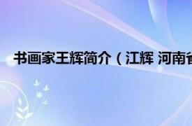 书画家王辉简介（江辉 河南省书画院画家相关内容简介介绍）