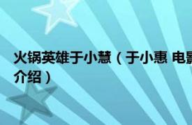 火锅英雄于小慧（于小惠 电影《火锅英雄》中人物相关内容简介介绍）