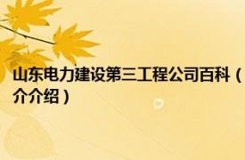 山东电力建设第三工程公司百科（山东电力建设第二工程公司志相关内容简介介绍）