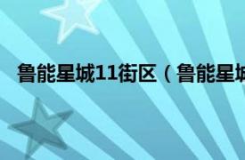 鲁能星城11街区（鲁能星城十一街区相关内容简介介绍）