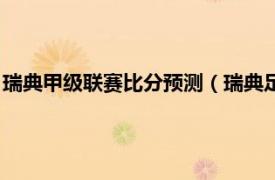 瑞典甲级联赛比分预测（瑞典足球超甲级联赛相关内容简介介绍）