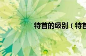 特首的级别（特首相关内容简介介绍）