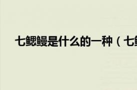 七鳃鳗是什么的一种（七鳃鳗 中药相关内容简介介绍）