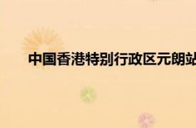 中国香港特别行政区元朗站城市铁路中途站相关内容简介