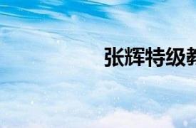 张辉特级教师张辉简介