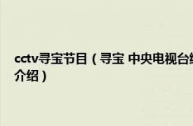 cctv寻宝节目（寻宝 中央电视台综合频道艺术品收藏类节目相关内容简介介绍）