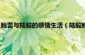 鲍蕾与陆毅的感情生活（陆毅鲍蕾：爱上爱情相关内容简介介绍）