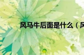 风马牛后面是什么（风马牛相关内容简介介绍）