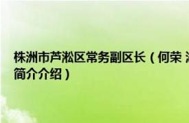 株洲市芦淞区常务副区长（何荣 湖南省株洲市芦淞区民政局局长相关内容简介介绍）