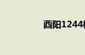 酉阳1244相关内容介绍