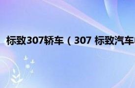 标致307轿车（307 标致汽车中的一款车型相关内容简介介绍）