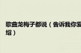 歌曲龙梅子都说（告诉我你爱我 龙梅子演唱歌曲相关内容简介介绍）