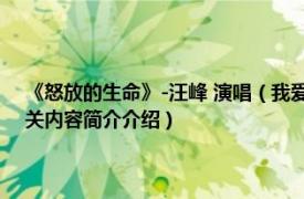 《怒放的生命》-汪峰 演唱（我爱你中国 汪峰《怒放的生命》专辑歌曲相关内容简介介绍）