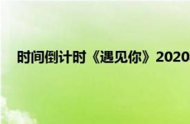 时间倒计时《遇见你》2020年李宏毅、石狮主演电视剧介绍