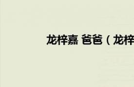 龙梓嘉 爸爸（龙梓嘉相关内容简介介绍）