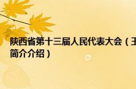 陕西省第十三届人民代表大会（王宏民 陕西省人民代表大会代表相关内容简介介绍）