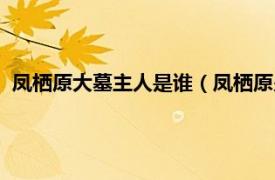 凤栖原大墓主人是谁（凤栖原少陵原墓葬群相关内容简介介绍）