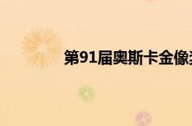 第91届奥斯卡金像奖相关内容简介介绍词