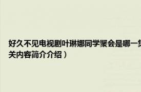 好久不见电视剧叶琳娜同学聚会是哪一集（叶琳娜 都市情感剧《好久不见》中的角色相关内容简介介绍）