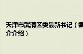 天津市武清区委最新书记（魏力 天津市武清区副区长相关内容简介介绍）