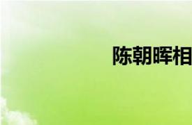 陈朝晖相关内容简介