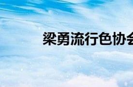 梁勇流行色协会常务副会长简介