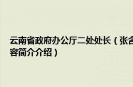 云南省政府办公厅二处处长（张含 云南省委办公厅信息一处副处长相关内容简介介绍）