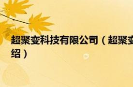 超聚变科技有限公司（超聚变数字技术有限公司相关内容简介介绍）