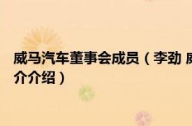 威马汽车董事会成员（李劲 威马汽车独立非执行董事相关内容简介介绍）