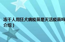 冻干人用狂犬病疫苗是灭活疫苗吗（冻干人用狂犬病纯化疫苗相关内容简介介绍）