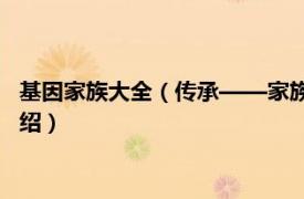 基因家族大全（传承——家族基因的秘密 中国篇相关内容简介介绍）