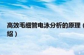 高效毛细管电泳分析的原理（高效毛细管电泳法相关内容简介介绍）