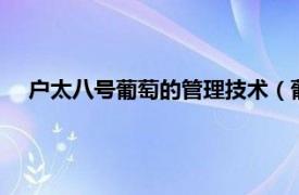 户太八号葡萄的管理技术（葡萄户太8号相关内容简介介绍）