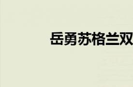 岳勇苏格兰双耳杯托内容简介