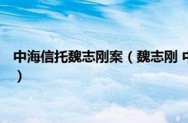 中海信托魏志刚案（魏志刚 中海信托原副总裁相关内容简介介绍）