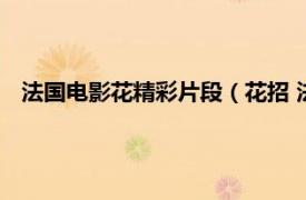 法国电影花精彩片段（花招 法国剧情电影相关内容简介介绍）