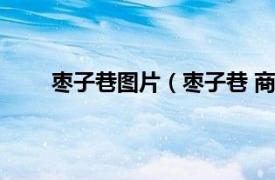 枣子巷图片（枣子巷 商标品牌相关内容简介介绍）