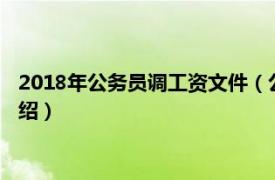 2018年公务员调工资文件（公务员工资调整方案相关内容简介介绍）