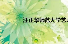 汪正华师范大学艺术史研究所副教授简介