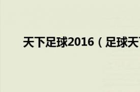 天下足球2016（足球天下2013相关内容简介介绍）