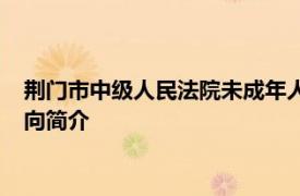 荆门市中级人民法院未成年人案件综合审判庭原庭长、原审判员向简介