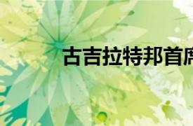 古吉拉特邦首席部长鲁哈尼简介