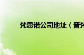 梵思诺公司地址（普梵思诺相关内容简介介绍）