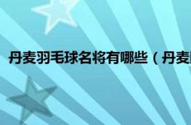 丹麦羽毛球名将有哪些（丹麦国家羽毛球队相关内容简介介绍）