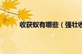 收获蚁有哪些（强壮收获蚁相关内容简介介绍）