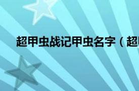 超甲虫战记甲虫名字（超甲虫战记相关内容简介介绍）