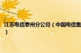 江苏电信泰州分公司（中国电信集团有限公司泰州分公司相关内容简介介绍）