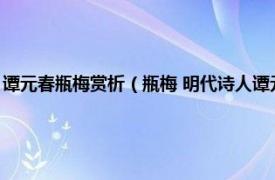 谭元春瓶梅赏析（瓶梅 明代诗人谭元春创作的五言律诗相关内容简介介绍）