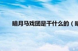 暗月马戏团是干什么的（暗夜马戏团相关内容简介介绍）