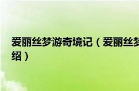 爱丽丝梦游奇境记（爱丽丝梦游奇境记：双语版相关内容简介介绍）